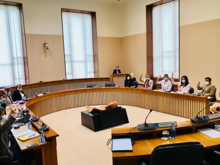 Los grupos dan luz verde al informe de Contas que fiscalizó sus cuentas electorales y que no detectó irregularidades