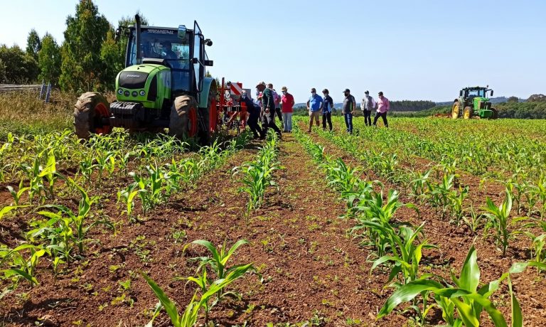 Ganaderos se forman en el control mecánico de las malas hierbas en la producción de maíz forrajero en ecológico