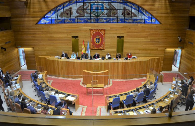 El PP aprueba en solitario reclamar que el Gobierno retire el recurso contra la ley de salud gallega