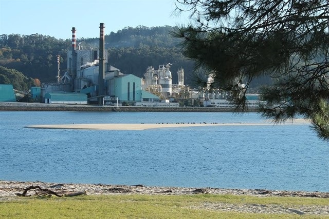CCOO y el comité de oficinas de Ence promoverán una plataforma gallega por la permanencia de la fábrica en Lourizán