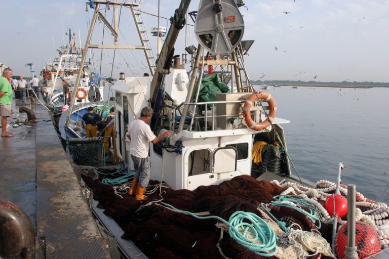 Planas celebra el nuevo acuerdo de pesca sostenible con Mauritania que beneficia a la flota española
