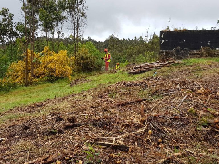 Xunta y Ayuntamiento de Vilar de Barrio estudian realizar labores forestales para prevenir incendios