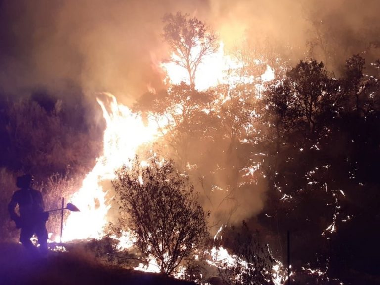 Activo un incendio que afecta a unas 11 hectáreas en O Coruel