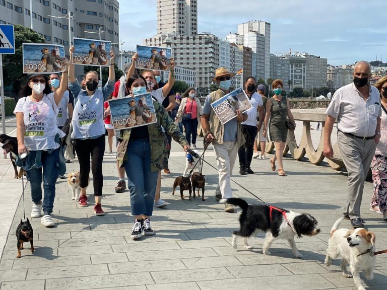 Concentración canina en Riazor para pedir el «acceso total» de los animales a las playas