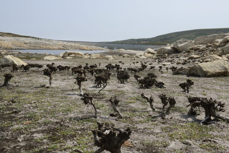 El agua de los embalses gallegos sigue a la baja y la reserva hídrica se sitúa al borde del 50%