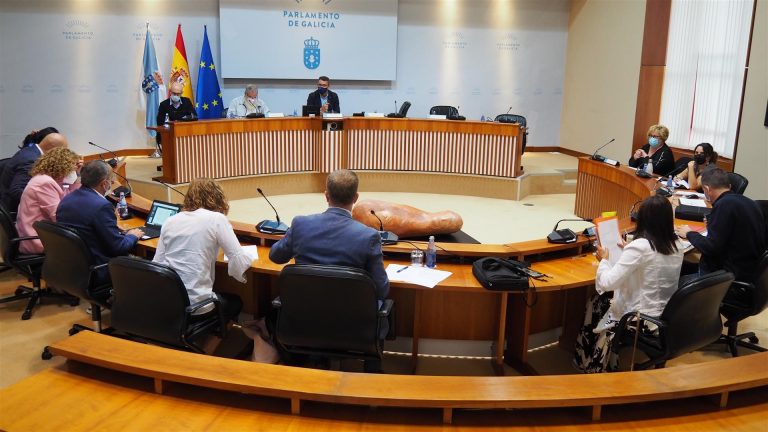 Unanimidad en el Parlamento gallego para que la nueva PAC no reduzca las cuantías para vacuno y ovino-caprino