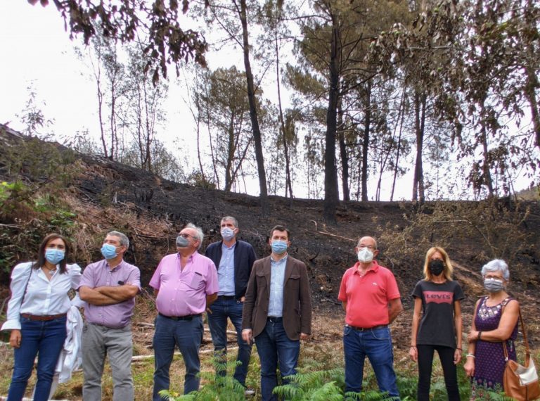 Gonzalo Caballero pide desde Ribas de Sil «un acuerdo de país» para «una nueva» política forestal