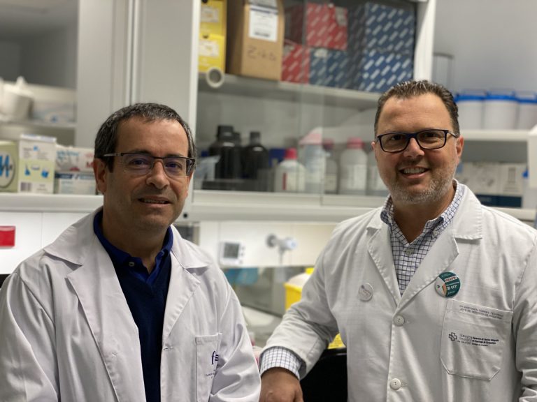 Investigadores gallegos desarrollan una herramienta para analizar las variantes del virus y su distribución