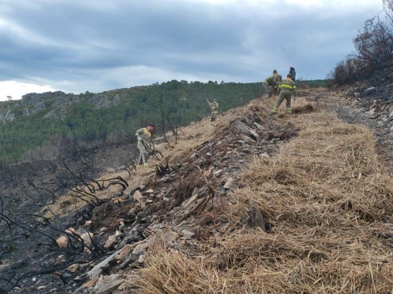 Arrancan los trabajos de ‘mulching’ en la zona afectada por el incendio de Ribas de Sil (Lugo)
