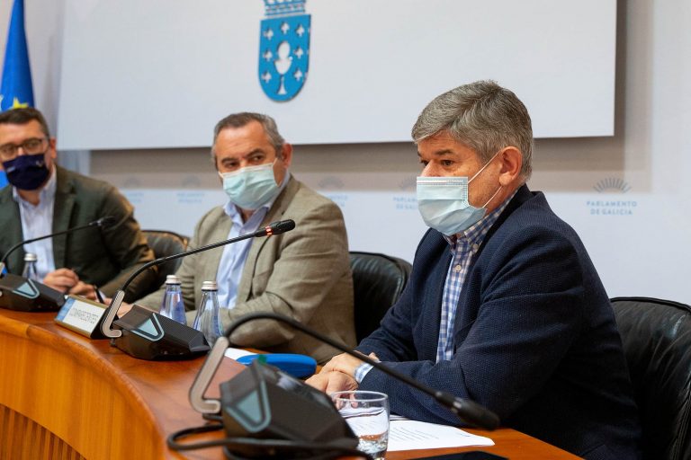 La Xunta admite que la erradicación de la avispa del castaño «es imposible», pero destaca avances en su control
