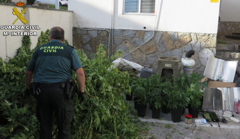 Investigado un vecino de Vilanova de Arousa por cultivar marihuana en un invernadero y defraudar fluido eléctrico