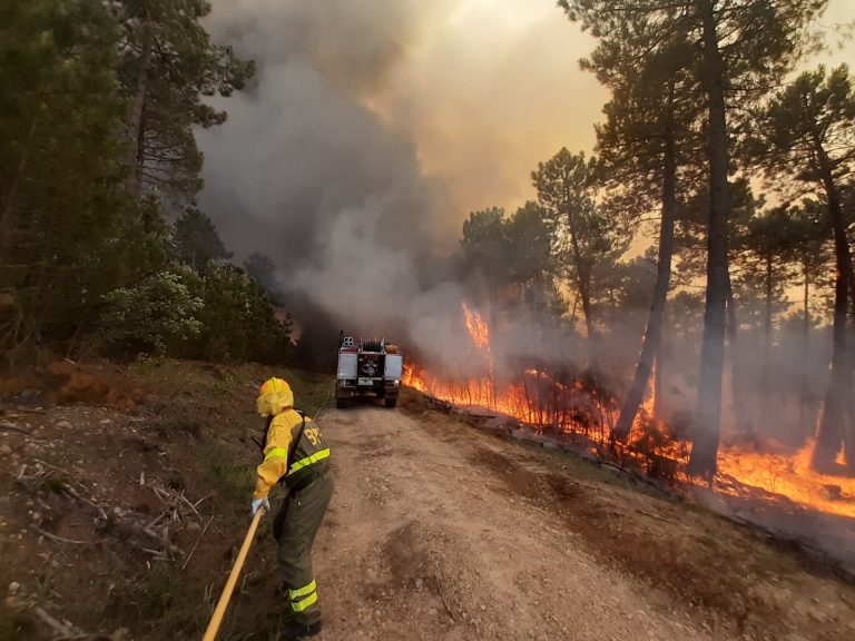 Un incendio forestal quema unas 20 hectáreas en Viana do Bolo