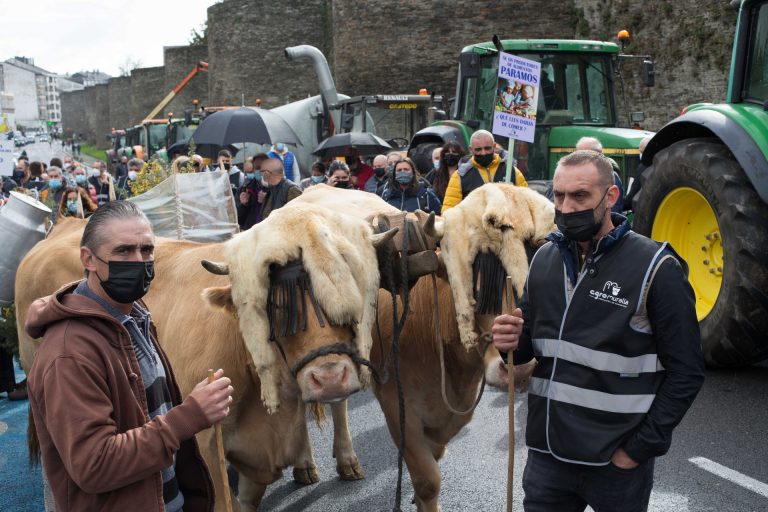Más de un centenar de tractores rodean la Muralla de Lugo en protesta por los bajos precios de la leche