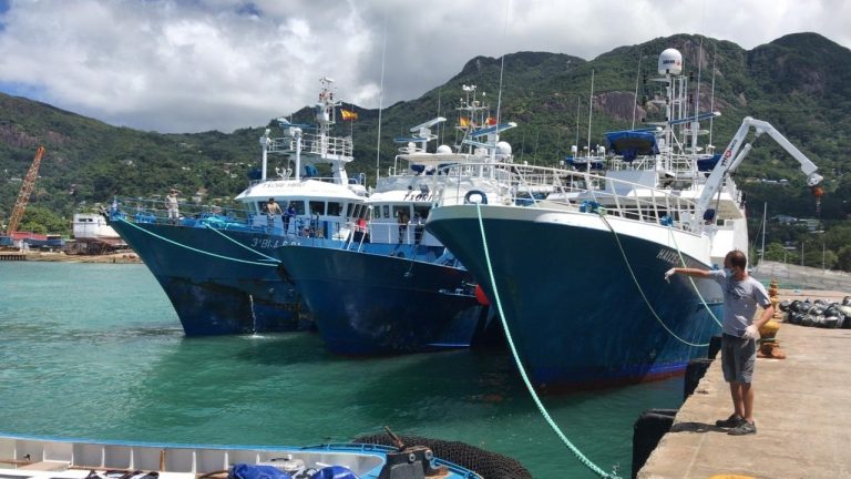 El Gobierno reabre la pesquería del atún blanco del Norte en aguas del océano Atlántico