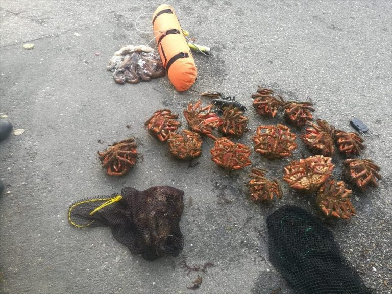 Identificado un furtivo al que se intervinieron 19 kilos de marisco en Vigo