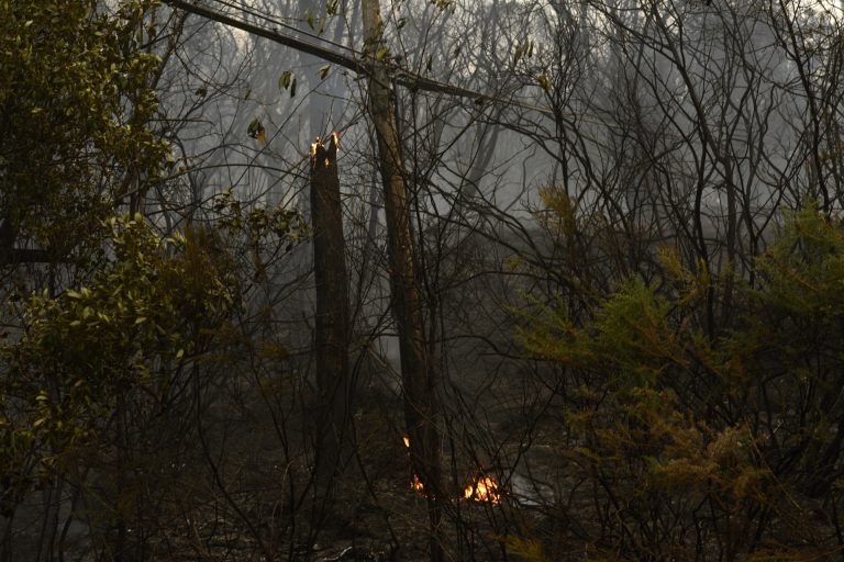 La superficie quemada en Galicia cae a 4.371 hectáreas en 2021 y por primera vez hay menos de 1.000 fuegos