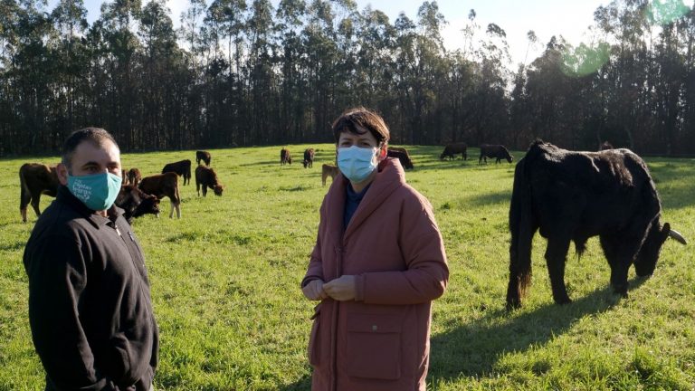 Pontón pide a Feijóo que deje los «bulos» y ponga «soluciones» para el sector de la carne en Galicia