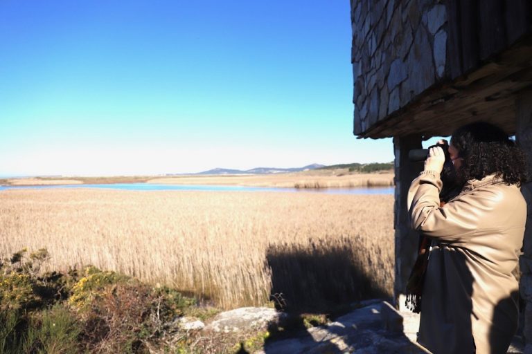 Los seis humedales de importancia internacional gallegos dan cobijo a más de 26.000 aves acuáticas
