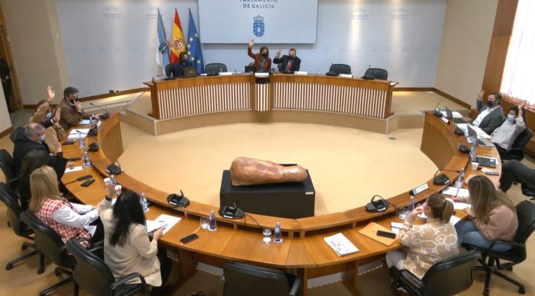 La Cámara pide al Gobierno que concrete la planificación para adaptar el ancho de la vía al AVE entre Santiago y Ourense
