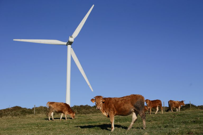 Pleno.- Feijóo tiende la mano para un pacto energético tras pedirle el PSdeG un acuerdo para «un nuevo modelo eólico»