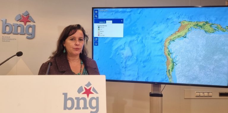 El BNG presenta un informe en Bruselas para declarar a Galicia «zona no apta» para parques eólicos marinos