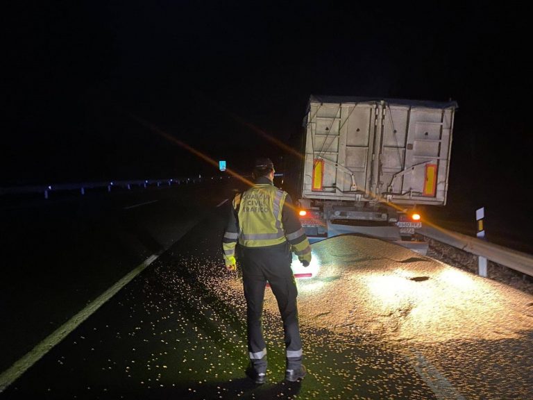 La caída de parte del maíz que transportaba un camión condiciona la circulación en la A-6 en Baralla (Lugo)
