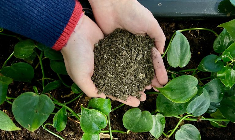 La Xunta impulsa una normativa para regular y «ofrecer las máximas garantías» a iniciativas de compostaje comunitarias