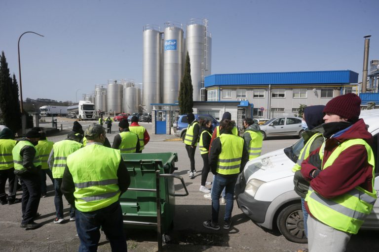 Xunta y ganaderos lácteos piden al Gobierno que actúe ante el riesgo de «colapso» de la cadena agroganadera