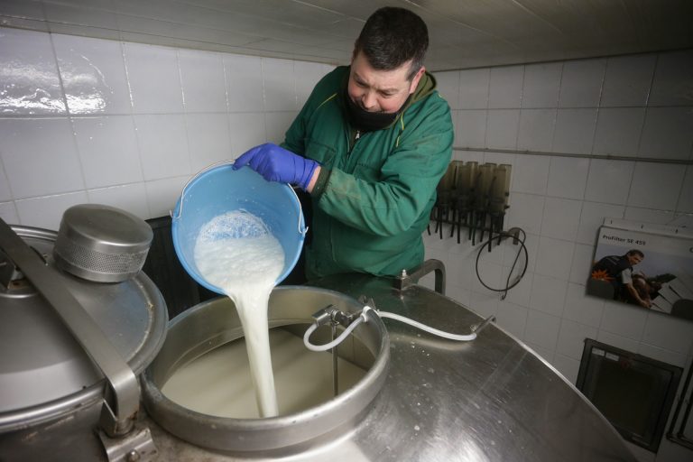 La Xunta tacha de «papel mojado» la ley de cadena alimentaria porque no impide venta de leche por debajo de coste