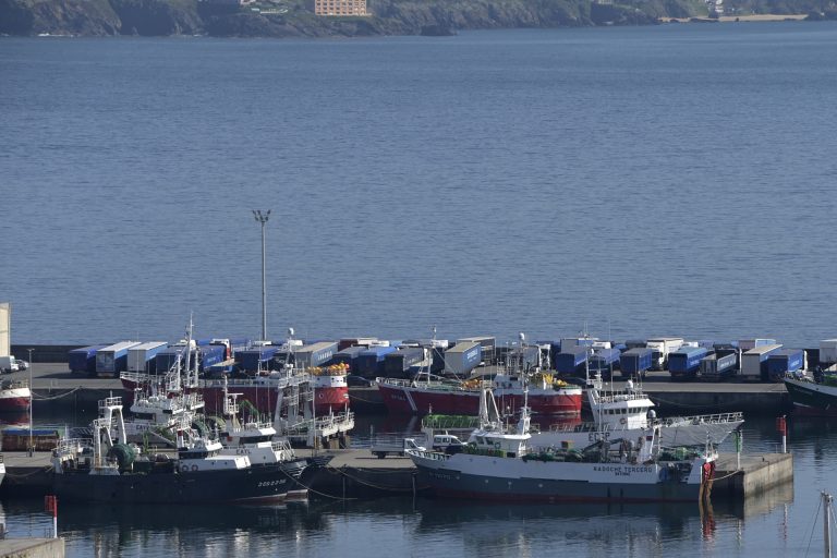 Un barco con 18.000 toneladas de maíz ucraniano llega este viernes a A Coruña