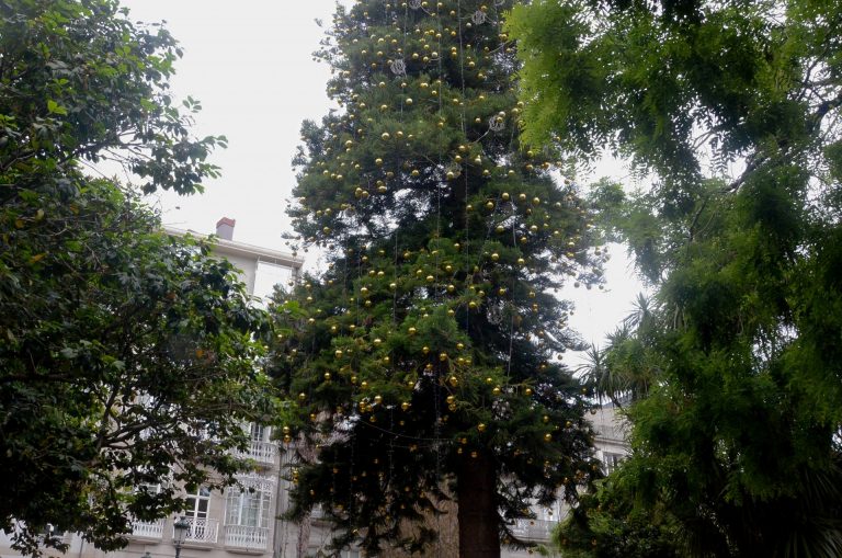 El BNG de Vigo critica que no se retire el alumbrado de Navidad de un árbol de la Alameda tras meses desde las fiestas