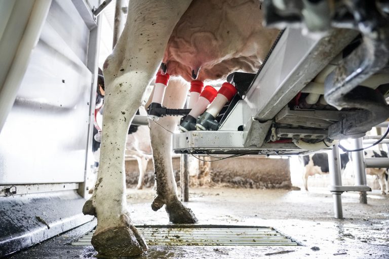 UU.AA. insta a la industrias lácteas a cumplir la ley de cadena para que se cubran costes de productores