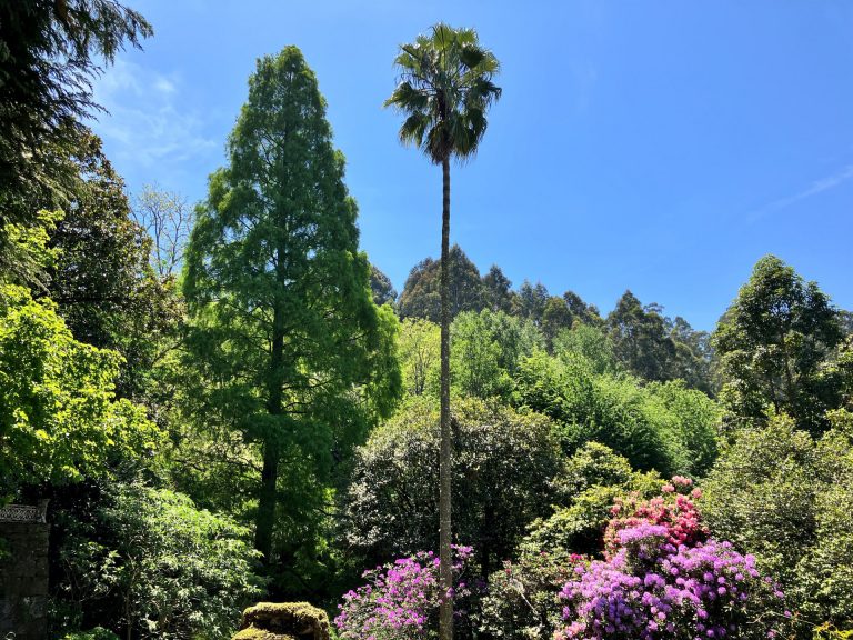 El jardín botánico de Lourizán, distinguido por la Asociación Ibero-Macaronésica de Jardines Botánicos