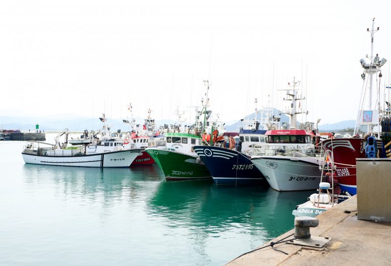 La Eurocámara respalda las ayudas al sector pesquero y acuícola por la guerra de Ucrania