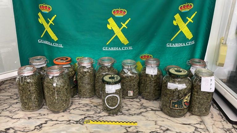 Detenida una vecina de Ferreira do Valadouro (Lugo) por una plantación de cannabis con 290 esquejes y plantas