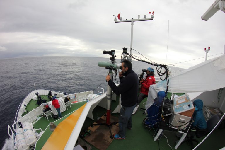 Un buque oceanográfico y 8 avionetas recorrerán las aguas atlánticas de Europa para estimar la abundancia de cetáceos