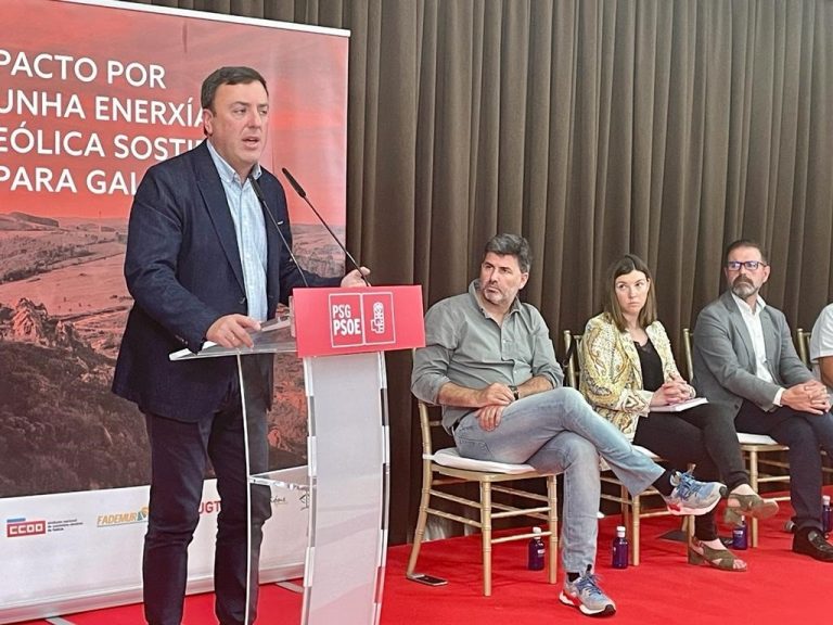 Formoso critica la «falta de coherencia y responsabilidad política» del PPdeG respecto al sector eólico