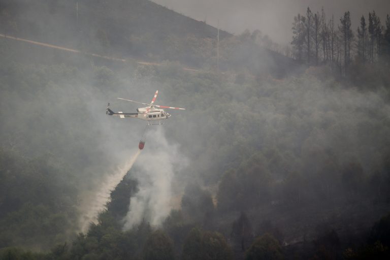 La ola de incendios deja en la provincia de Lugo alrededor de 10.000 hectáreas calcinadas