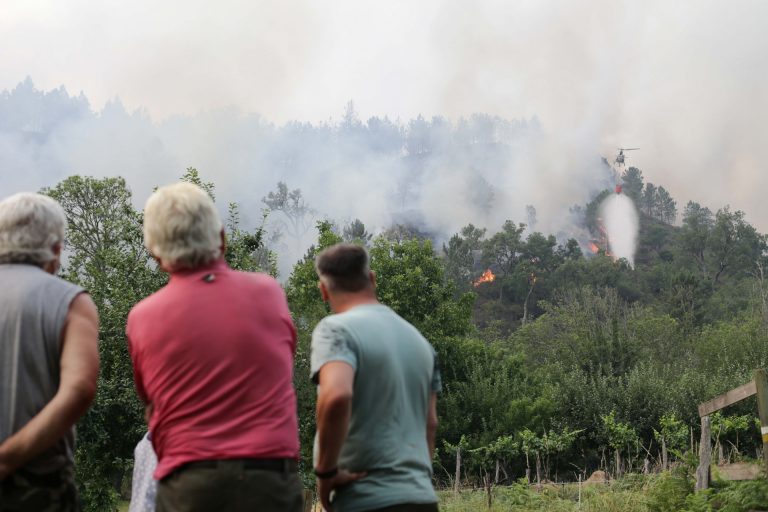 El presidente de la Diputación de Lugo critica que la Xunta no emplea «todos los medios» para combatir los incendios
