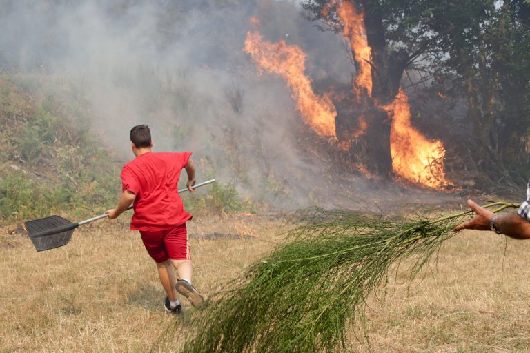 La superficie afectada por los incendios se mantiene casi sin cambios con unas 32.000 hectáreas quemadas