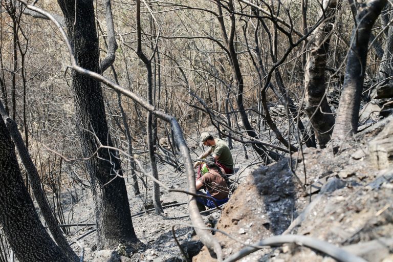 Ecologistas gallegos reclaman medidas para «frenar los incendios forestales» y «enfrentar la emergencia climática»