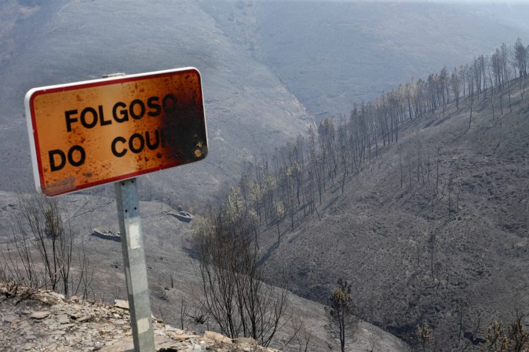 El Ayuntamiento de Folgoso (Lugo) pedirá la declaración de zona catastrófica tras los incendios de O Courel