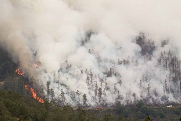 A Pobra do Brollón (Lugo) evaluará «con tranquilidad» si declarar zona catastrófica por el incendio en O Courel