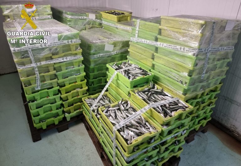 Incautados más de 5.000 kilos de sardina en el puerto de Laxe