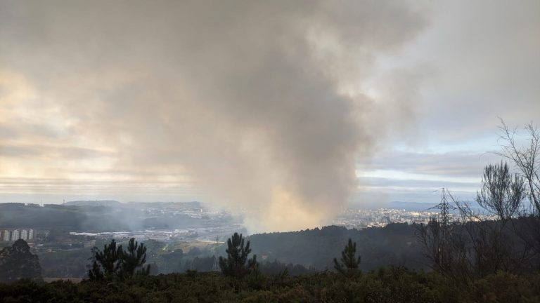 Estabilizado el incendio forestal que ha calcinado seis hectáreas en el barrio de Elviña de A Coruña