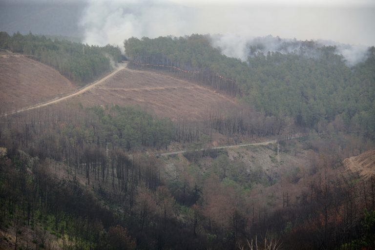 Quiroga se suma a Folgoso y A Pobra do Brollón para pedir la zona catastrófica por el incendio de O Courel