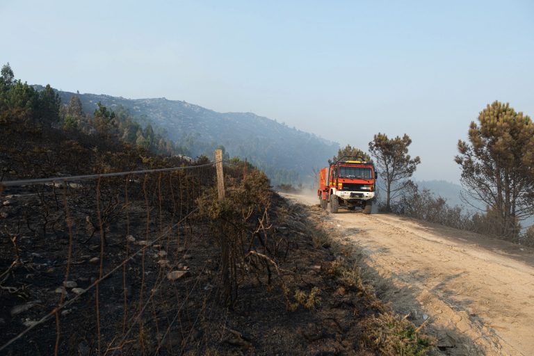 Los incendios forestales calcinan unas 4.500 hectáreas en Galicia, pero evolucionan favorablemente