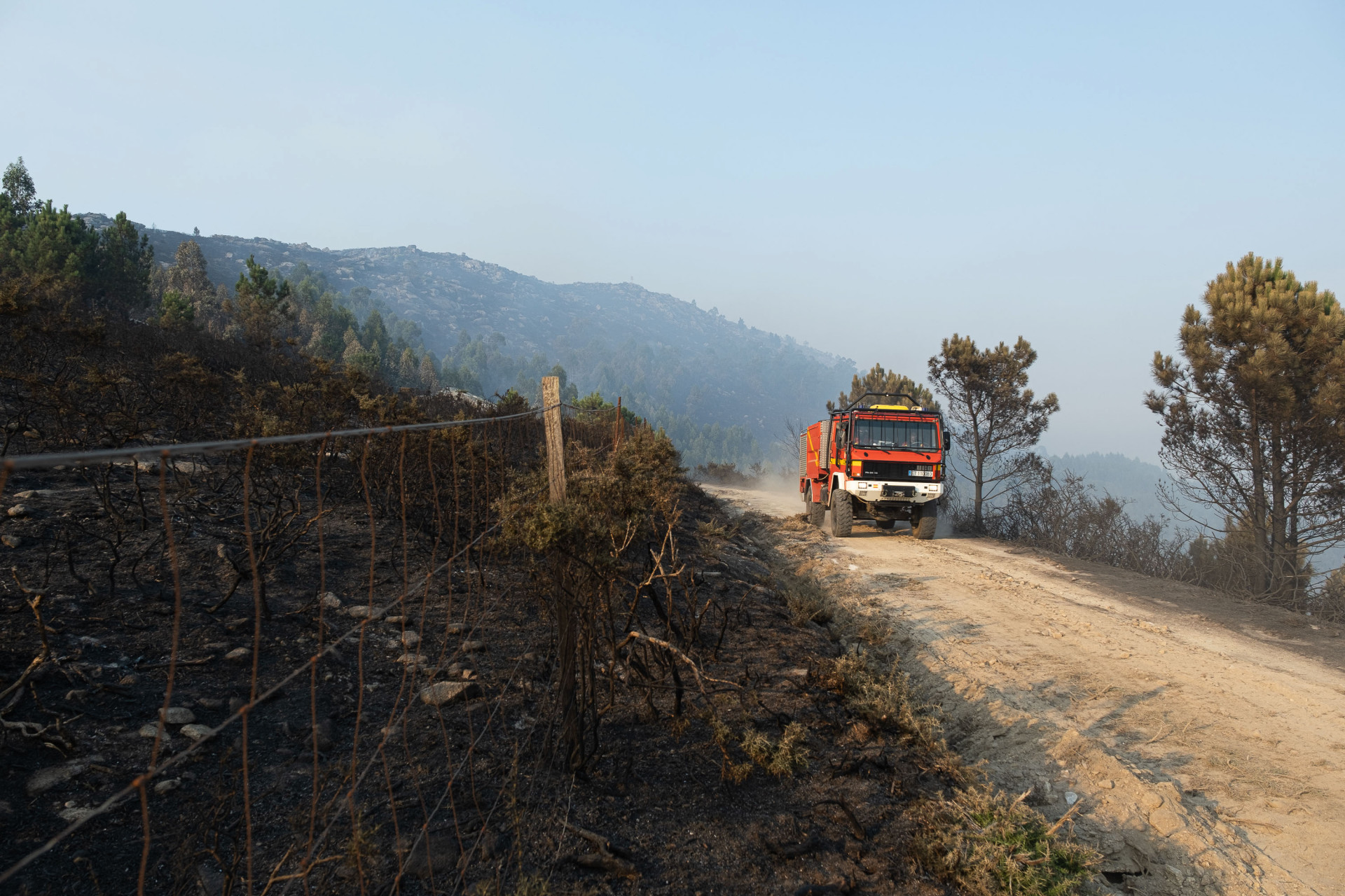 Los Incendios Forestales Calcinan Unas 4500 Hectáreas En Galicia Pero Evolucionan Favorablemente 7384