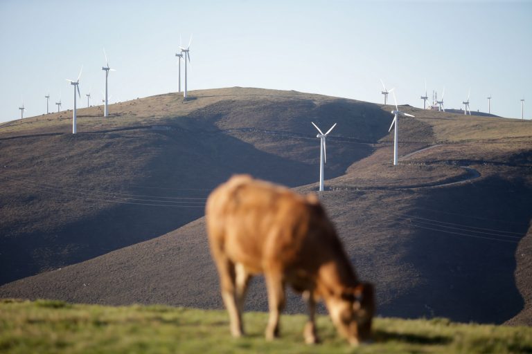 Galicia debe disminuir sus emisiones al menos un 65% en 2030 para hacer frente al objetivo de COP26, según un informe