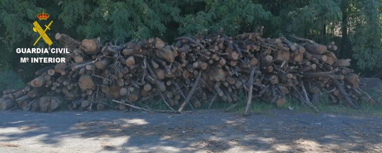 Detenidos dos vecinos de Brión por robar madera en una trama promovida por una empresa forestal
